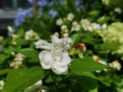 -LE MISSMORE餐酒吧(茉念西里店)
