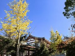 -莆田南少林寺