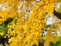 -北京动物园-畅观楼