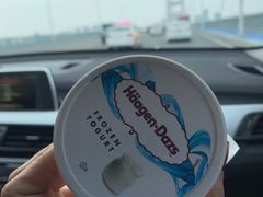 -哈根达斯(武汉天地店)