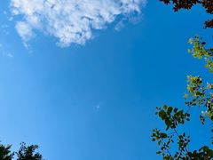 -丰台科技园生态主题公园