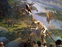 -自贡恐龙博物馆