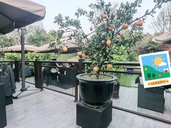 -茅庐·川粤精品私房菜(金沙遗址店)