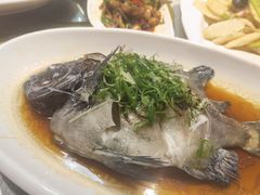 -强记海鲜·大排档(蛇口新街店)