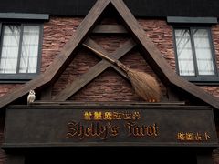 -雪灵魔法世界SHELLY’S TAROT(大良桂畔里店)