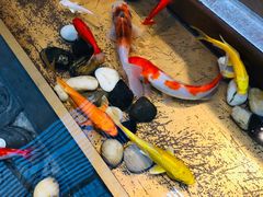 -四季民福烤鸭店(前门店)