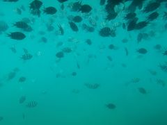 -亚龙湾海底世界