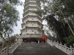 -深圳国际园林花卉博览园