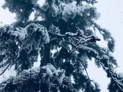 -塔云山