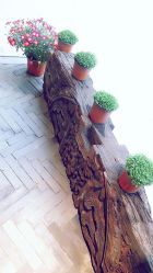 点击看大图 -salon漫