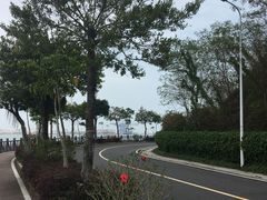 -小桂湾