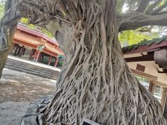 -神光山国家森林公园