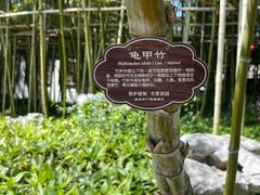 -个园
