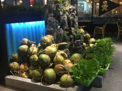 -东椰·海南椰子鸡火锅(朝阳门店)