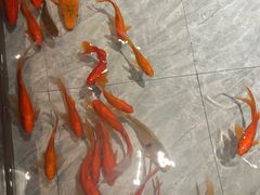 -印象天台·非遗文化美食(天台新城店)