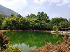 -蝴蝶泉公园
