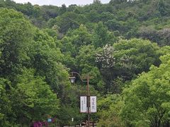 -杭州半山国家森林公园