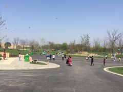 -盘龙城国家考古遗址公园