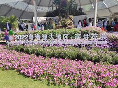 -深圳仙湖植物园