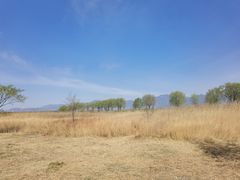 -野鸭湖国家湿地公园