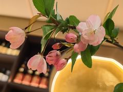 -和樂日本料理