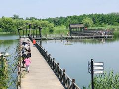 -溱湖国家湿地公园