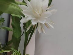-西贝(枫蓝国际购物中心店)