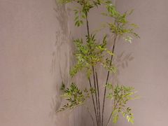 -千枝花·按摩·美容·经络SPA(建旺大厦店)