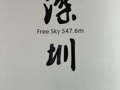 -平安金融中心云际观光层