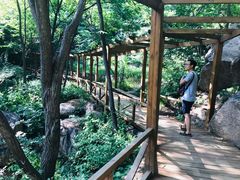 -大岭沟猕猴桃谷风景区