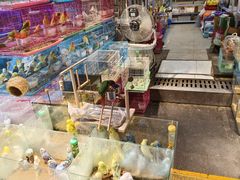 -青石桥花鸟鱼虫市场(叠翠城店)