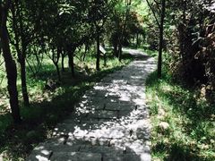 -游子山休闲旅游区