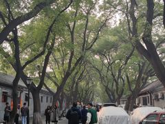 -北京国子监胡同