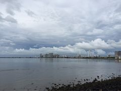 海滨-万绿园