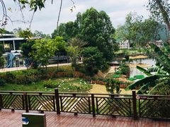 -泉州海丝野生动物世界