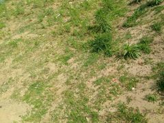 -北戴河圣蓝海洋公园