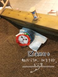 -敖东酵素·离子暖房