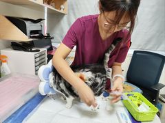 -美联众合动物医院·24h京西诊疗中心