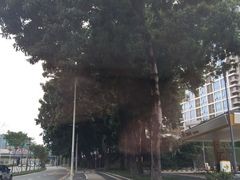 -冠德石油方兴达加油站