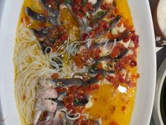 -洞庭家宴·头牌甲鱼(广渠门店)