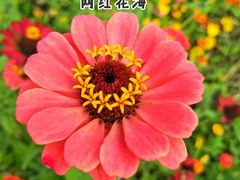 -尚贤河湿地
