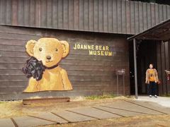 -济州岛泰迪熊博物馆