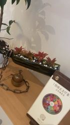 -东英经典SKIN&SPA