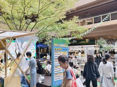 -瑞虹新天地月亮湾