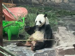 -济南野生动物世界
