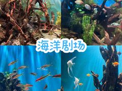 -海合安武汉极地海洋公园