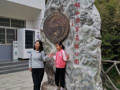 -王顺山国家森林公园