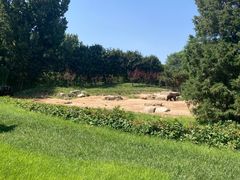 -北京野生动物园