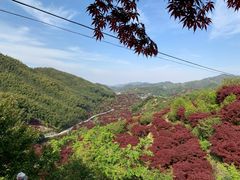 -四明山国家森林公园