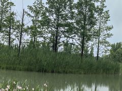 -海宁鹃湖公园